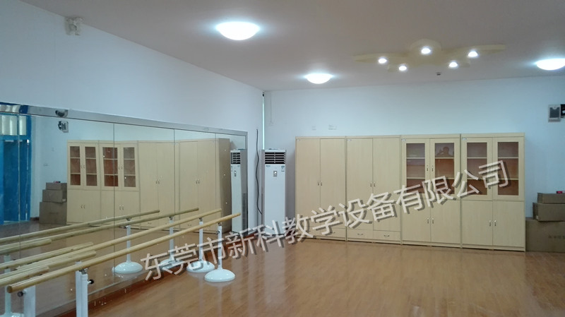 <a href='http://m.ahmjh.cn/chanpin/59-1.html' target='1' style='font-size:18px; font-weight:bold; color:#000000;'>舞蹈室</a>